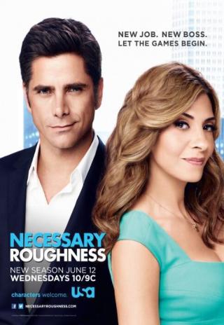 Poster Necessary Roughness