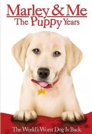 Poster Marley & Me: The Puppy Years