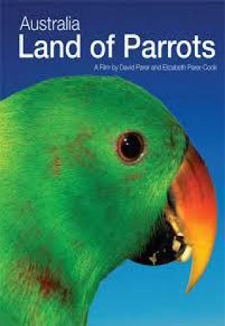 Poster Australia: Land of Parrots