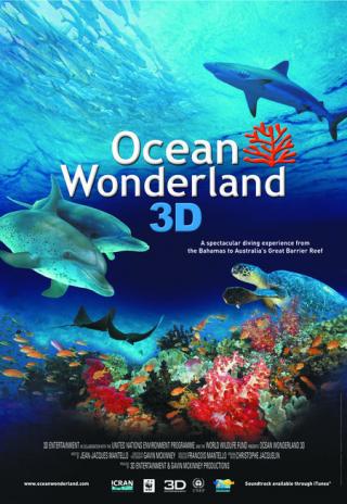 Poster Ocean Wonderland