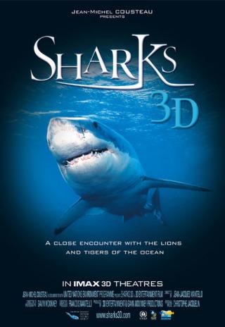 Poster Sharks 3D