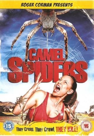 Poster Camel Spiders
