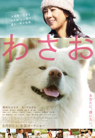 Poster Wasao