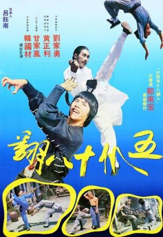 Poster Wu zhao shi ba fan