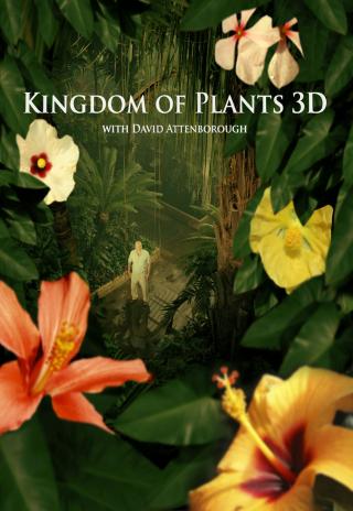 Poster Kingdom of Plants 3D