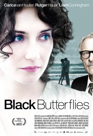 Poster Black Butterflies