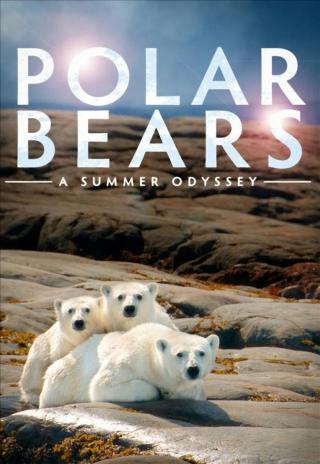 Poster Polar Bears: A Summer Odyssey