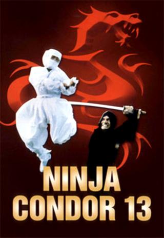 Poster Ninja Condors