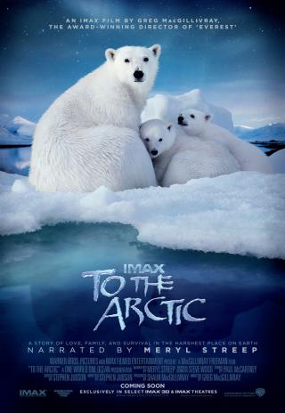 Poster To the Arctic 3D
