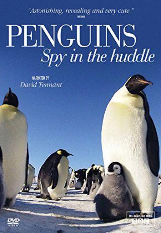 Poster Penguins: Spy in the Huddle