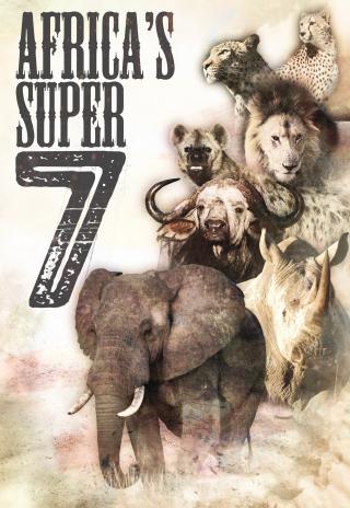Poster Africa's Super Seven