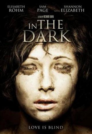 Poster In the Dark