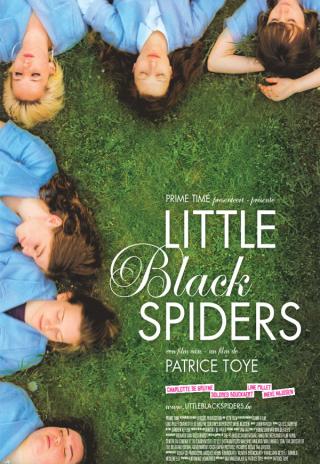 Poster Little black spiders