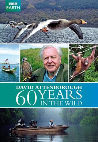 Poster Attenborough: 60 Years in the Wild