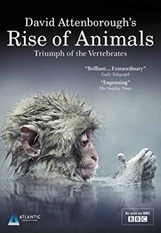 Poster Rise of Animals: Triumph of the Vertebrates