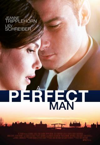 Poster A Perfect Man
