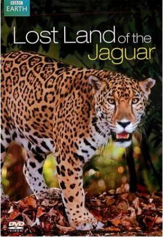 Poster Lost Land of the Jaguar