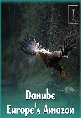 Poster Danube: Europe's Amazon