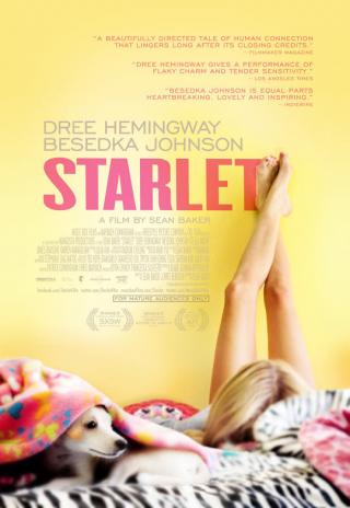 Poster Starlet