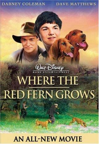 Poster Where the Red Fern Grows