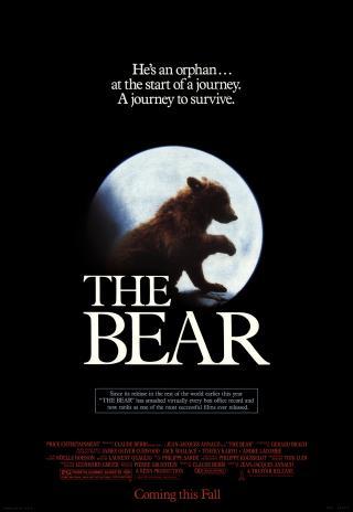 Poster The Bear