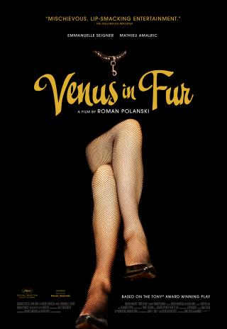 Poster Venus in Fur