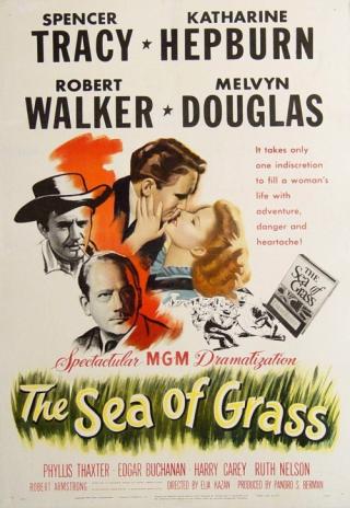 Poster The Sea of Grass