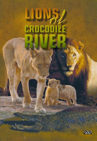 Poster Lions of Crocodile River