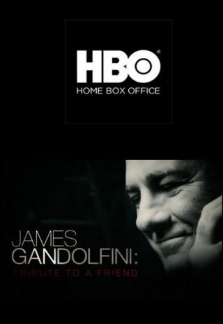 Poster James Gandolfini: Tribute to a Friend