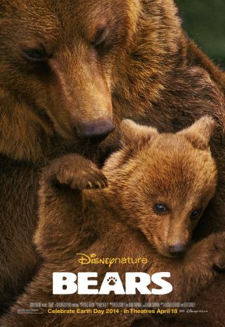 Poster Bears