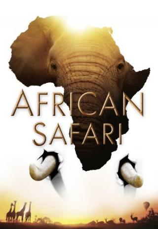 Poster African Safari