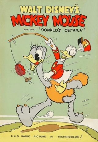 Poster Donald's Ostrich
