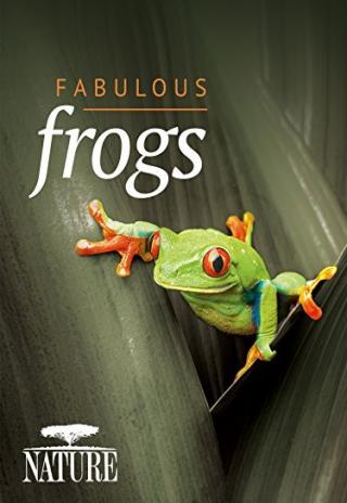 Poster Nature: Fabulous Frogs