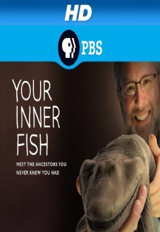 Poster Your Inner Fish