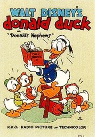 Poster Donald's Nephews