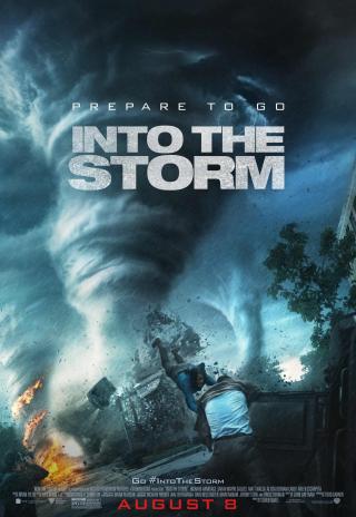 Poster Into the Storm