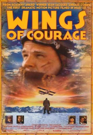Poster Wings of Courage