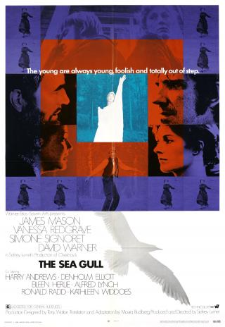 Poster The Sea Gull