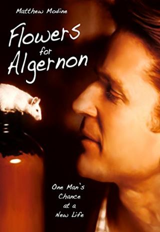 Poster Flowers for Algernon