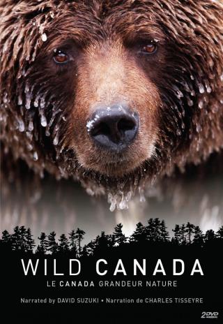 Poster Wild Canada