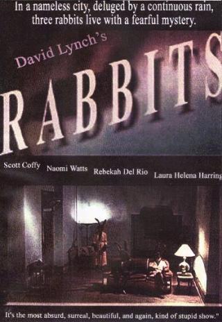 Poster Rabbits