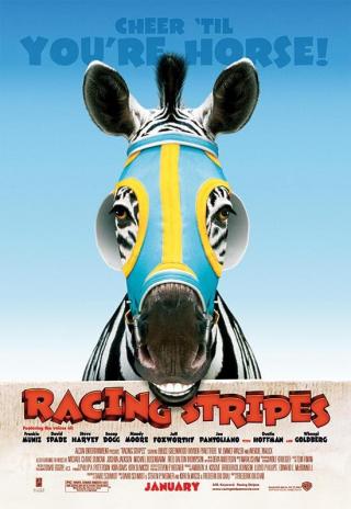 Poster Racing Stripes