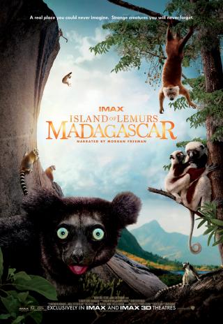 Poster Island of Lemurs: Madagascar