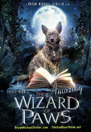 Poster The Amazing Wizard of Paws