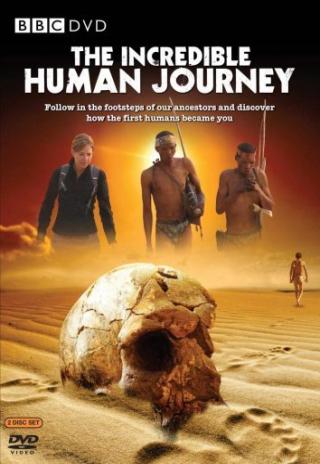 Poster The Incredible Human Journey