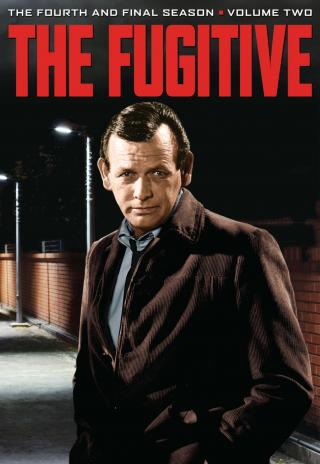 Poster The Fugitive