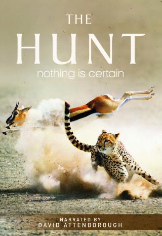 Poster The Hunt