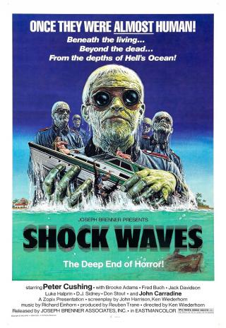 Poster Shock Waves