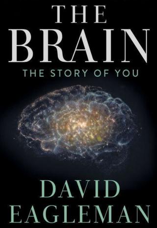 Poster The Brain with Dr. David Eagleman