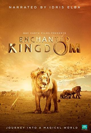 Poster Enchanted Kingdom